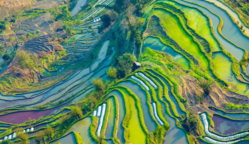 走进玉树TVC拍摄：解锁本地化场景与创意镜头的完美融合